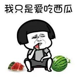 娱乐吃瓜歌曲叫什么